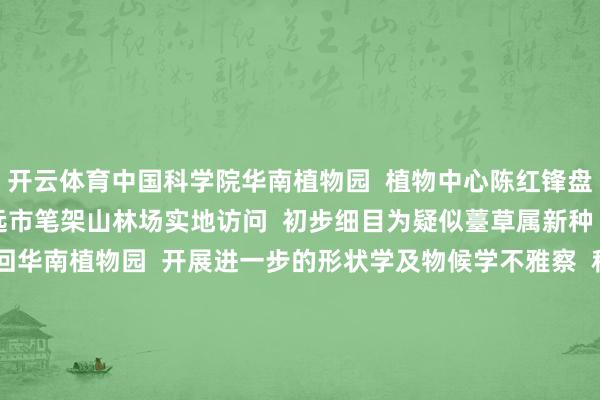 开云体育中国科学院华南植物园  植物中心陈红锋盘考员过头团队  赶赴清远市笔架山林场实地访问  初步细目为疑似薹草属新种  当场汇集标本并引种回华南植物园  开展进一步的形状学及物候学不雅察  科研东说念主员不雅察显微镜下新植物的花果形状  初步细目该种属薹草属宽叶薹草组  形状上和同组的扇叶薹草最为周边  但在花序分支、小穗数目、雄花序体式等方面  又与扇叶薹草存在互异    清远薹草  经由包