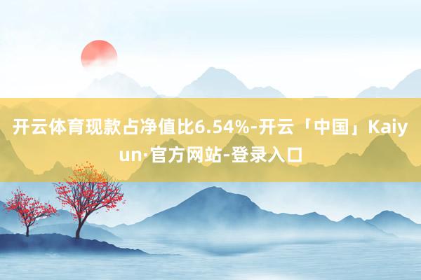 开云体育现款占净值比6.54%-开云「中国」Kaiyun·官方网站-登录入口