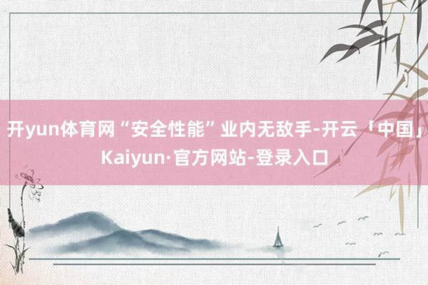 开yun体育网“安全性能”业内无敌手-开云「中国」Kaiyun·官方网站-登录入口