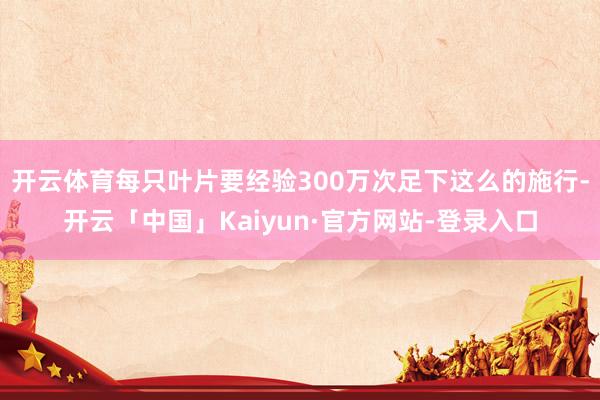 开云体育每只叶片要经验300万次足下这么的施行-开云「中国」Kaiyun·官方网站-登录入口