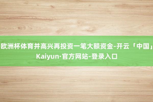 欧洲杯体育并高兴再投资一笔大额资金-开云「中国」Kaiyun·官方网站-登录入口