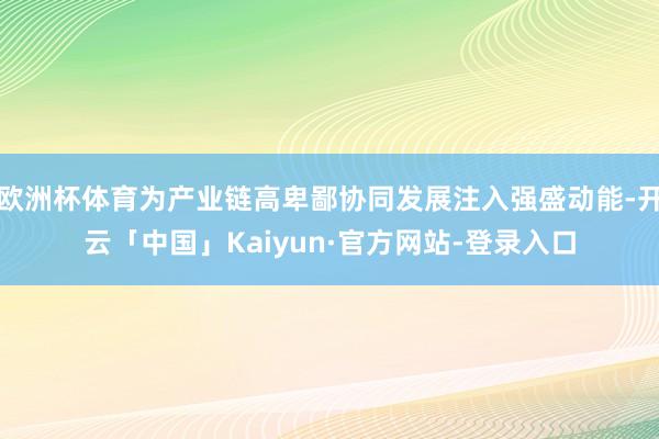 欧洲杯体育为产业链高卑鄙协同发展注入强盛动能-开云「中国」Kaiyun·官方网站-登录入口