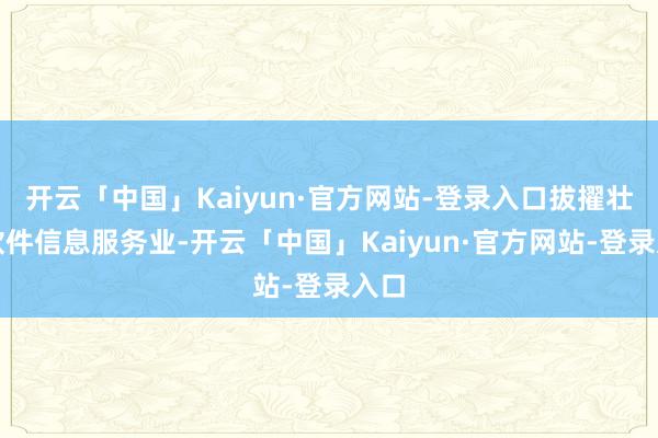 开云「中国」Kaiyun·官方网站-登录入口拔擢壮大软件信息服务业-开云「中国」Kaiyun·官方网
